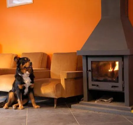 Ecurie Du Warlet * Ambly